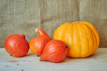 Similar image 8503012