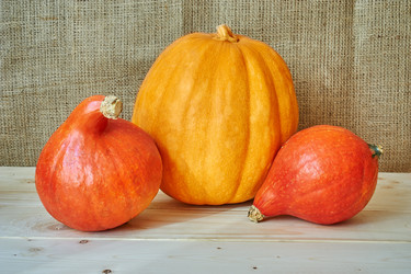 Similar image 8503017