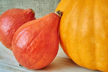 Similar image 8503019