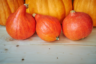 Similar image 8503023