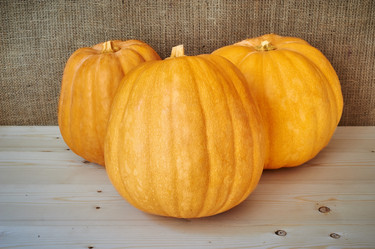 Similar image 8503024