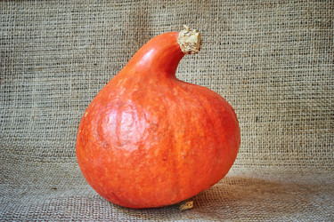 Similar image 8503025