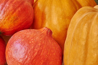 Similar image 8503029