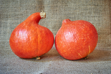 Similar image 8503033