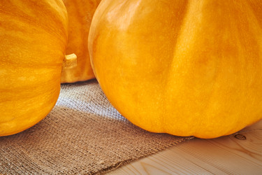 Similar image 8503036