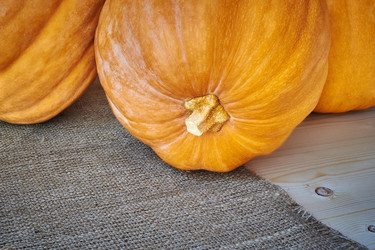 Similar image 8503040