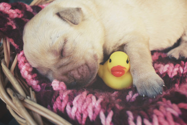 Similar image 8503081