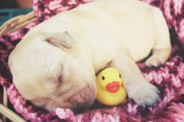 Similar image 8503082