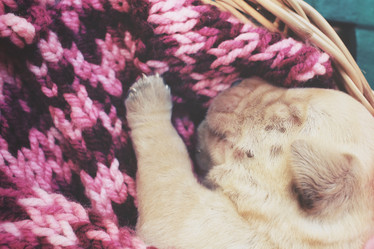 Similar image 8503093