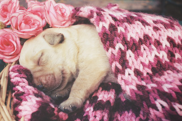 Similar image 8503094