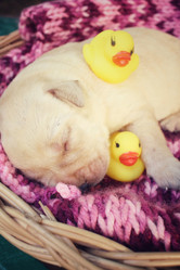 Similar image 8503096