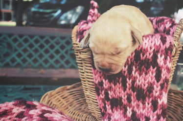 Similar image 8503097