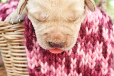 Similar image 8503098