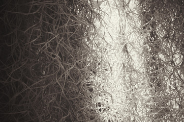 Similar image 8503101