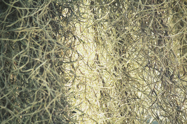 Similar image 8503112