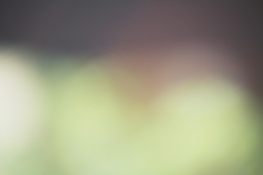 Similar image 8503115