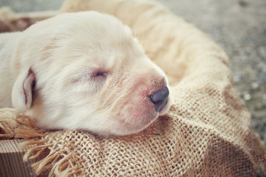 Similar image 8503123