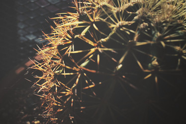 Similar image 8503126