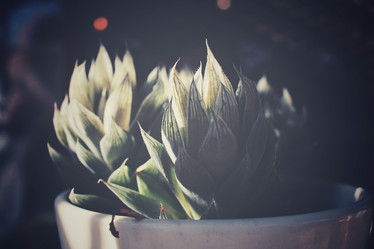 Similar image 8503128