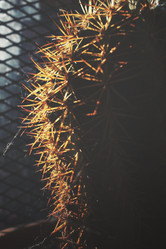 Similar image 8503129