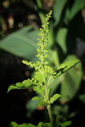 Similar image 8503141