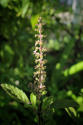 Similar image 8503142