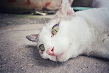 Similar image 8503143