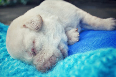 Similar image 8503144