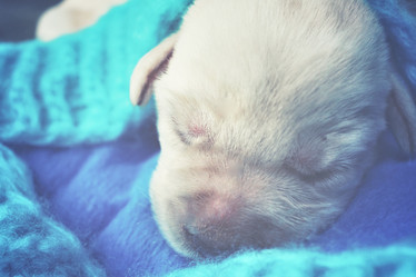 Similar image 8503146