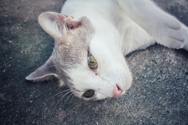 Similar image 8503151