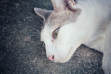 Similar image 8503152