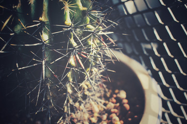 Similar image 8503155