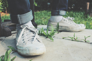 Similar image 8503160