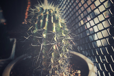 Similar image 8503168