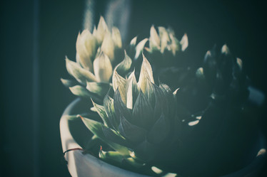 Similar image 8503172