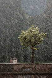 Similar image 8503179