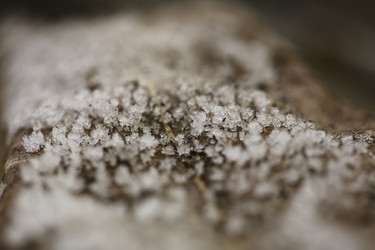 Similar image 8503180