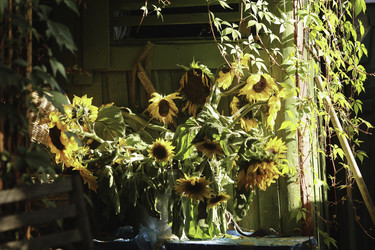 Similar image 8503181