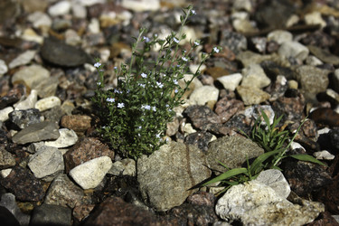 Similar image 8503184