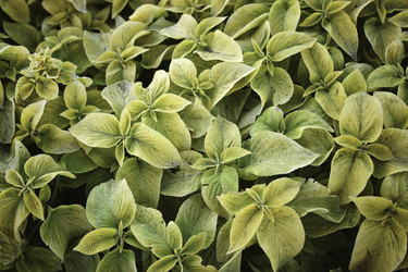 Similar image 8503185