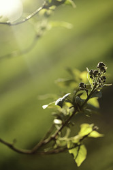 Similar image 8503190