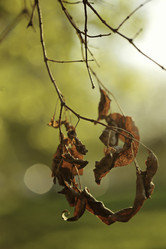 Similar image 8503191