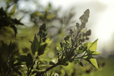 Similar image 8503192