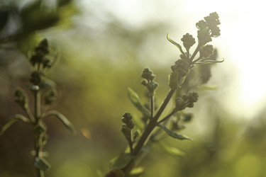 Similar image 8503193