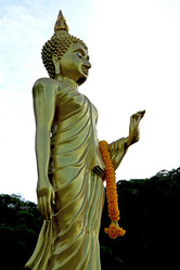 Similar image 8503259