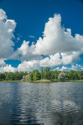 Similar image 8503585