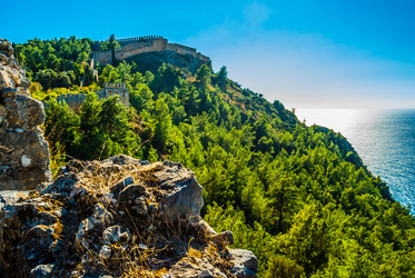 Similar image 8503601