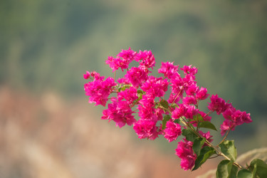 Similar image 8503636