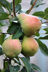 Similar image 8504194