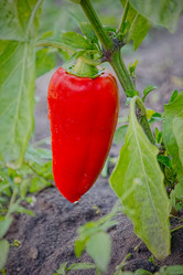 Similar image 8504195